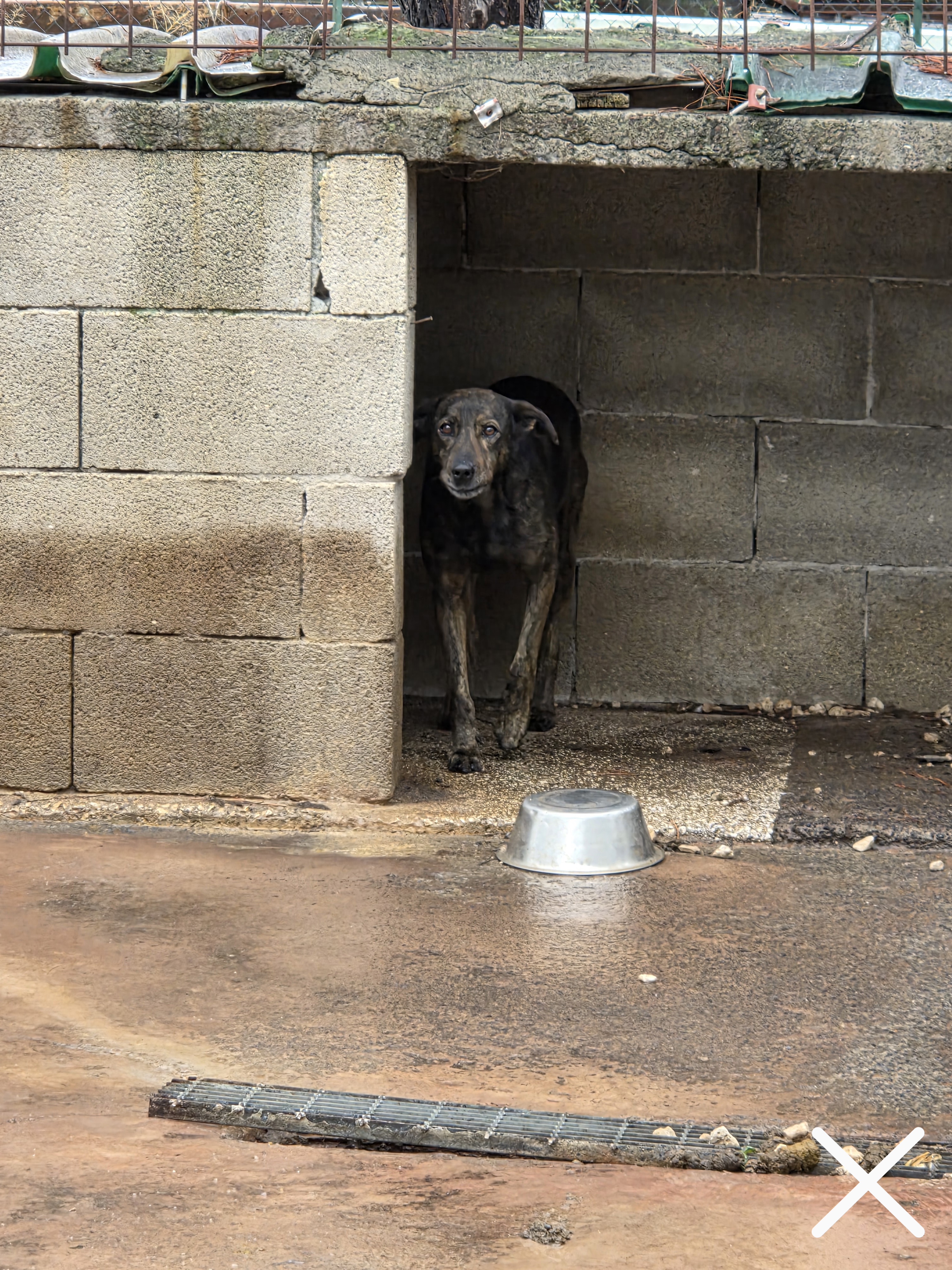 Ospite 5